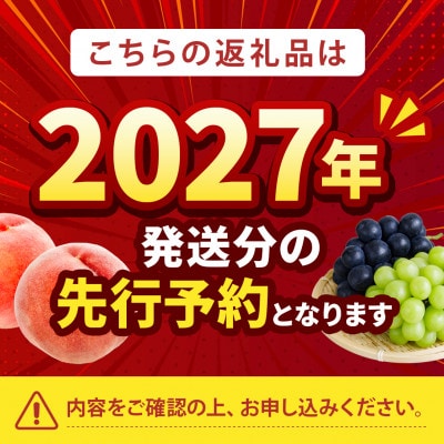 2027年発送先行受付【強い甘みの大玉硬質桃 なつっこ】本場山梨の品種指定約2kg　【配送不可地域：離島・北海道・沖縄県・中国・四国・九州】
