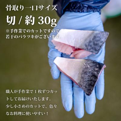 ふるさと納税 名取市 魚のおんちゃま 三陸常磐産 サバ 骨取切り身 30g×20枚入 |  | 02