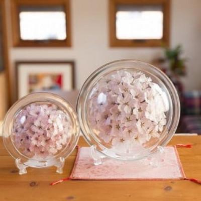 ふるさと納税 久留米市 桜のボトルフラワーM(敷き物付き) |  | 01