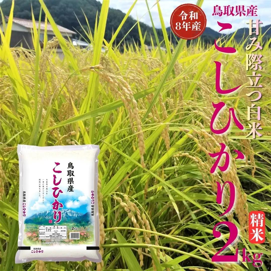 選べる 内容量 こしひかり コシヒカリ 精米 2kg 令和8年産 鳥取県 送料無料 お米 米 ご飯 銘柄米 こめ 白米 おにぎり おむすび 甘い ツヤ 銘柄 湯梨浜町 国産 2026年産 JA 人気 おすすめ 冷めてもおいしい | 354M