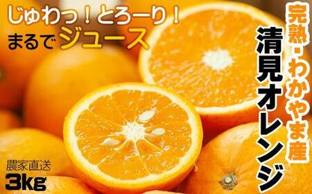 清見オレンジ 3kg【和歌山の清見オレンジ】清見オレンジ 清見オレンジ 清見オレンジ 和歌山県鈴木農園より農園直送 3キロ フルーツ 柑橘
