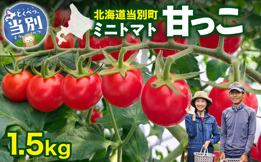 北海道当別町化学農薬不使用ミニトマト：甘っこ1.5kg_tb36-002