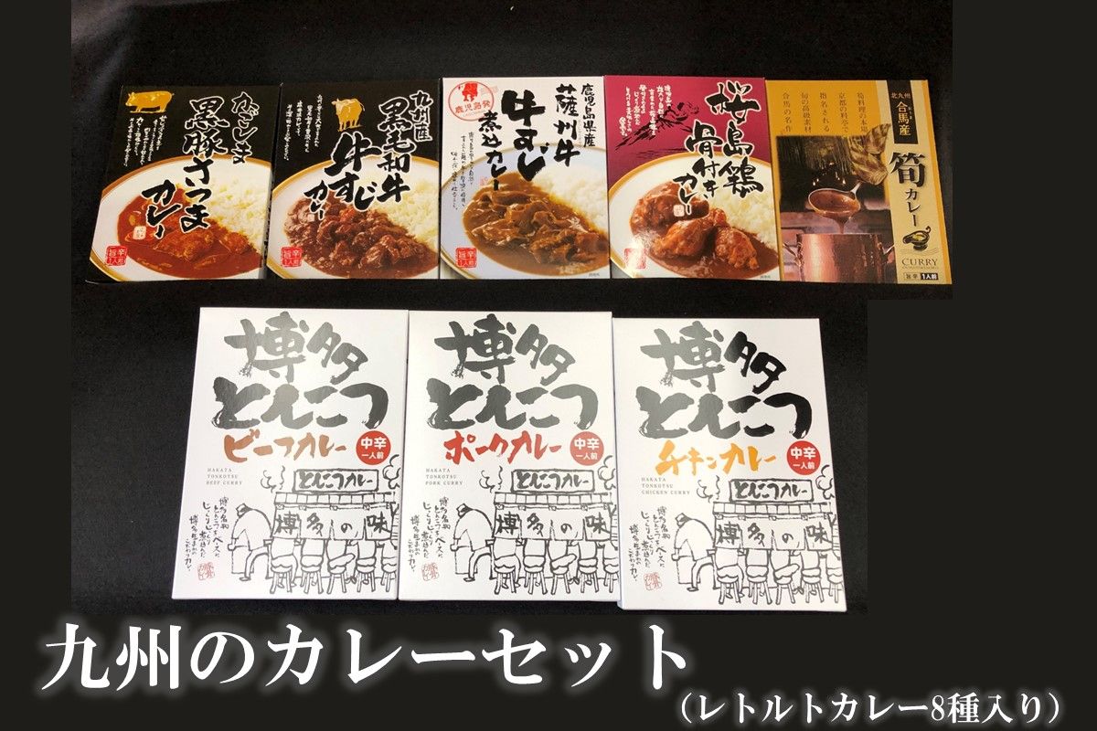 【B2-032】九州のカレーセット(レトルトカレー8食入り)