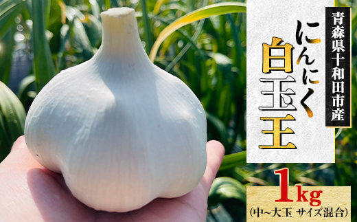 ＜テレビ紹介＞青森にんにく白玉王1kg (産地直送・農家レシピ付き)【1592810】