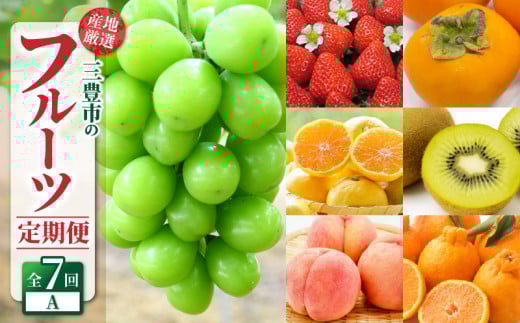 定期便 年7回 三豊市 厳選 フルーツ定期便A  [ 果物定期便 フルーツ定期便 定期配送 産地直送 旬フルーツ 季節の果物 国産 贈答用 ギフト お取り寄せ 香川県 三豊市 苺 さぬきひめ デコポン 桃 もも シャインマスカット みかん 柿 キウイ ]