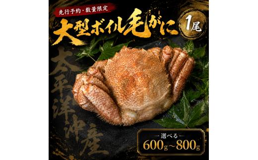 【先行予約・数量限定】大型ボイル毛ガニ　600g　１尾（茹で冷凍）【けがに　ケガニ　毛蟹　毛がに　カニ　太平洋　北海道　広尾町　冷凍　ボイル　海鮮　グルメ】(0144)