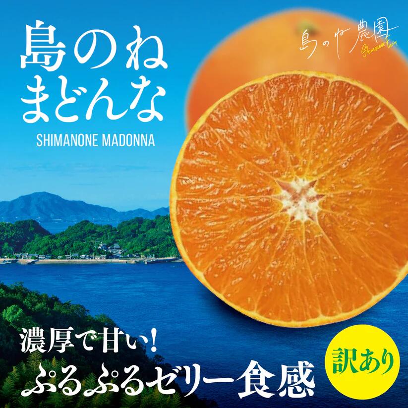 【ふるさと納税】【先行予約】【訳あり】 島のね農園のまどんな (5kg)【KB01620】 まどんな マドンナ 愛媛みかん 高級 美味しい 高級果物 甘いミカン 瀬戸内 愛媛 訳ありみかん 訳ありミカン 訳アリフルーツ 高級フルーツ 国産 甘い お土産 お取り寄せ 果物 フルーツ 今治市