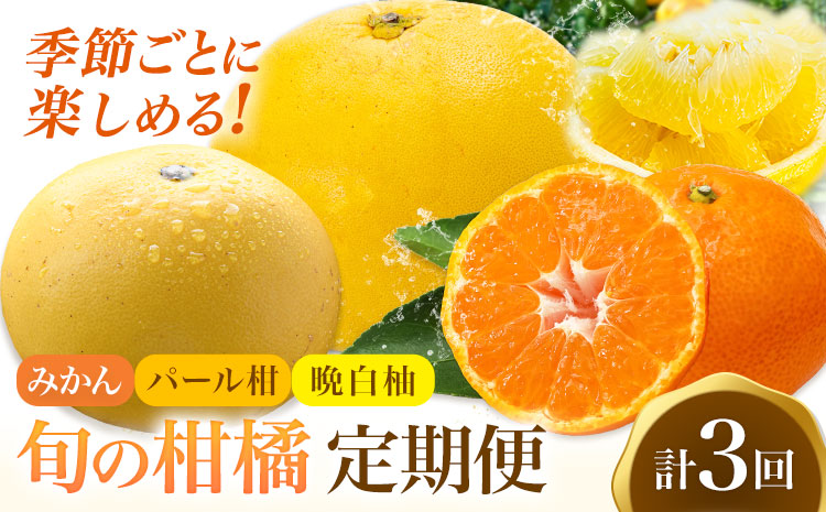 旬の柑橘定期便 山本果樹園 旬のみかん 約5kg パール柑 約5kg 晩白柚 2玉（Lサイズ）《11月上旬-2月下旬頃出荷》果物 フルーツ ザボン 熊本県 特産品---hkw_ymk_7_mo3---