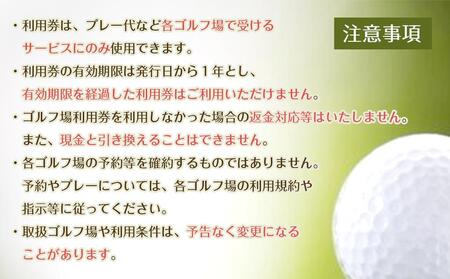 豊田市ゴルフ場利用券１０枚（市内１５ゴルフ場利用可）【ゴルフ ゴルフ場 ゴルフ場利用券 ゴルフ練習 ゴルフプレー ゴルフ好き スポーツ 愛知県 豊田市 BK003】