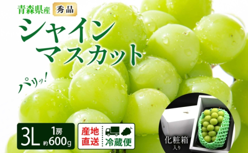 シャインマスカット 秀品 1房 約600g 青森県産 ぶどう ブドウ 葡萄 種なし 大粒 果物 フルーツ くだもの 果実 旬 贈答用 化粧箱 贈り物 お取り寄せ 産地直送 青森県 西目屋村