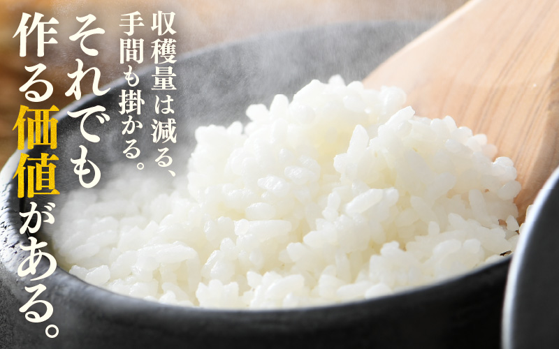 【先行予約】【令和8年産 新米】定期便《3ヶ月連続お届け》コシヒカリ 精米 5kg （計15kg）特別栽培米 農薬不使用 化学肥料不使用 ／ 残留農薬ゼロ 高品質 鮮度抜群 福井県産 ブランド米 白米 ※2026年10月上旬以降順次発送 [aw063-d005]