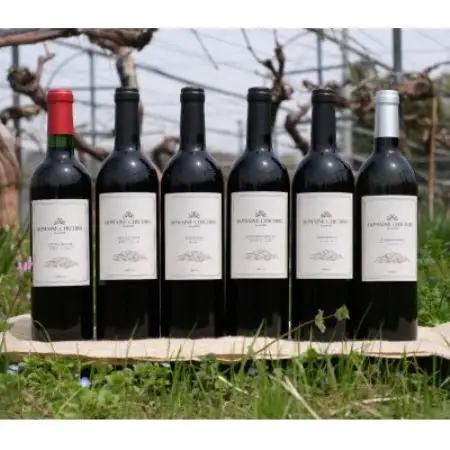 DOMAINE CHICHIBU シリーズ　750ml×5本・720ml×1本(計6本セット)【1741234】