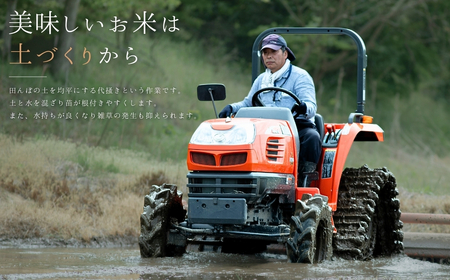 新潟県産コシヒカリ 1等米 10kg 2025年産コシヒカリ 三条市保内産こしひかり 精米 白米 令和7年産 米 【034S031】