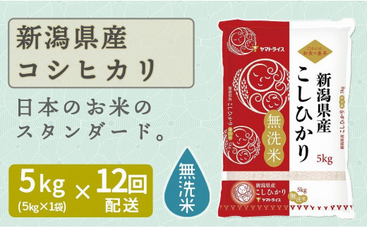 
                  【定期便全12回】無洗米新潟県産コシヒカリ5kg（受注の翌月から毎月配送）｜新潟県　新潟　無洗米　こしひかり　米　おこめ　お米
                