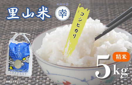 里山米マルコウ　コシヒカリ　5kg　精米 ／ 米 こめ コメ お米 おこめ コシヒカリ こしひかり 令和7年産 新米 白米 精米 ごはん ご飯 5kg 千葉県 匝瑳市 送料無料