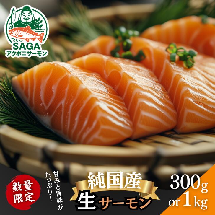 【ふるさと納税】佐賀から未来へ！SAGAアクポニサーモン 選べる300g・1kg カット済 刺身 サーモン トラウトサーモン 国産 生食 陸上養殖 高品質 佐賀市産 海鮮 魚介 魚 冷凍 小分け 解凍するだけ 海鮮丼 カルパッチョ 寿司 鮭 佐賀県 佐賀市 ：B150-059