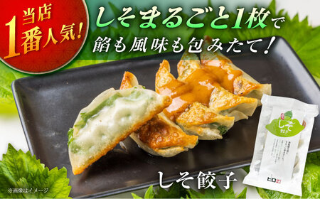【計2パック】餃子屋ヒロの大人気餃子セット＋特製味噌ダレ付 ぎょうざ[BDAS009-1]