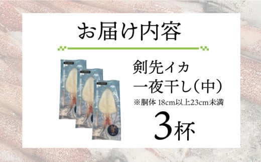 剣先イカ 一夜干 （中） 3杯 《壱岐市》【株式会社マルショウ】 いか イカ 剣先いか セット おつまみ 一夜干し [JEW006] 16000 16000円 のし ギフト