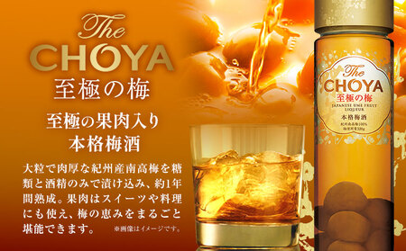 THE CHOYA 熟成三年 700ml 至極の梅 650ml 計2本
