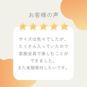 【先行予約】【発送期間：2026年10月～なくなり次第終了】【贈答用】愛媛みかん 3kg みかん
