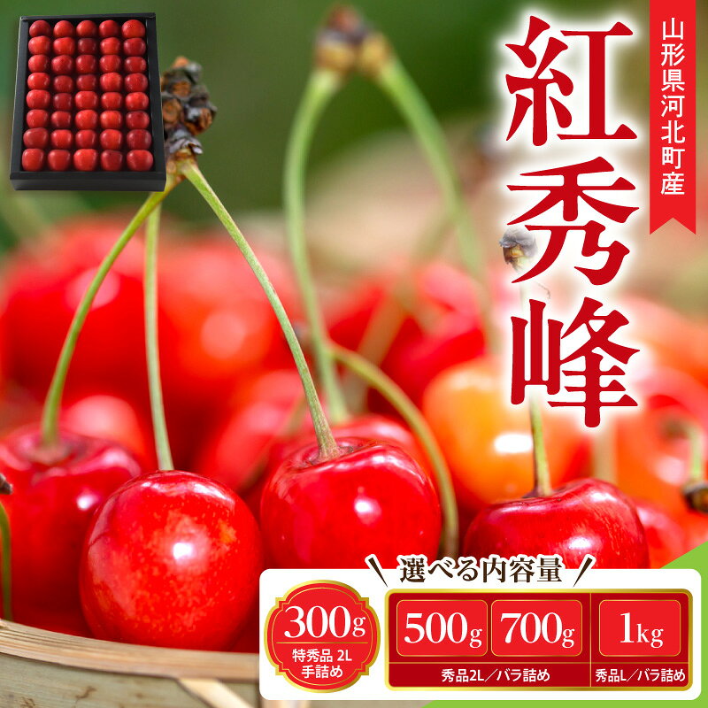 【ふるさと納税】【 令和9年産 先行予約 】朝採り さくらんぼ 紅秀峰 特秀品 秀品 ( 選べる 300g / 500g / 700g / 1kg )| フルーツ 果物 くだもの オススメ 人気 バラ 手詰め ギフト箱 産地直送 送料無料 お取り寄せ 贈答 ギフト プレゼント 人気 おすすめ 山形県 河北町
