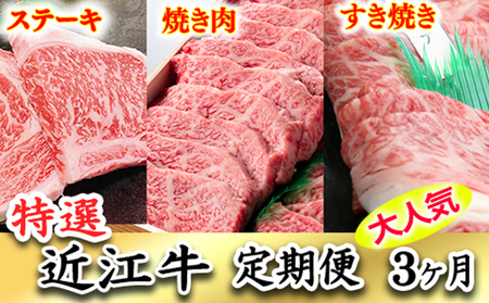 令和6年12月31日までの期間限定極上近江牛500g　食べ方色々！　アソート定期便【ZZ36U】