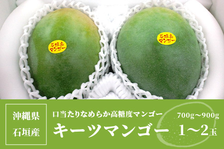 【予約受付】沖縄県石垣島産 キーツマンゴー 700g～900g【1～2玉】【口当たりがなめらかな 高糖度マンゴー】【2024年発送分】