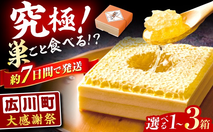 
                  【選べる箱数】【大感謝祭：寄附額見直し】はちみつ 国産 巣みつ 巣蜜 1箱～3箱 蜂蜜 はちみつ ハチミツ コムハニー 極上はちみつ 濃厚ハチミツ 国産蜂蜜 スピード配送 贈答 ギフト 広川町 / 株式会社九州蜂の子本舗 [AFAI004] 
                