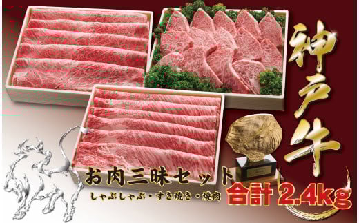 神戸牛(神戸ビーフ) お肉三昧セット　2400ｇ