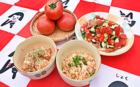 とまと 桃太郎トマト 約4kg トマト 野菜 岡山 高梁市産 2023年 先行予約