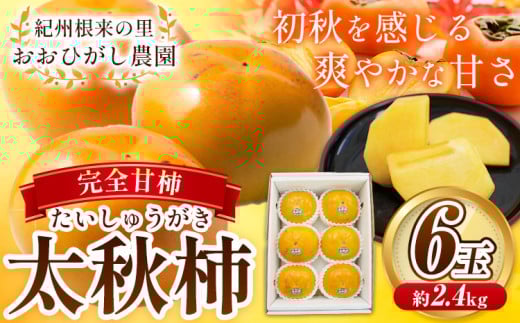 紀州根来の里 完全甘柿 太秋柿 6玉 約2.4kg 化粧箱入 おおひがし農園《10月上旬-11月中旬頃出荷》 和歌山県 岩出市 太秋柿 送料無料 柿 かき カキ 和歌山県産 果物 フルーツ