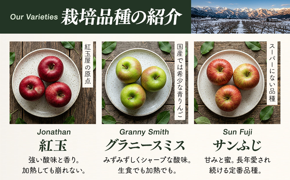 紅玉屋 長野市産【訳あり】サンふじ5kg【2026年12月上旬以降の出荷分】（紅玉屋） |  りんご フルーツ 果物 サンふじ 訳あり 人気 おすすめ ギフト プレゼント 送料無料 長野県 長野市 信州 信濃 ふるさと納税
