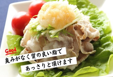 長崎県産豚ロースしゃぶしゃぶ用800ｇ( 長崎県産豚 豚ロース 薄切り しゃぶしゃぶ 生姜焼き 豚肉巻き )【111-0002】