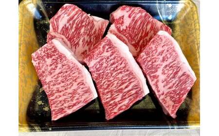 京の肉 ひら山厳選 京都府産 黒毛和牛 ロース ポーション ステーキ 100g×5枚 計500g《特選 A5・A4ランク 熟成 熟成肉 牛 和牛 黒毛和牛 肉 牛肉 亀岡牛 京都肉 国産 国産牛 国産