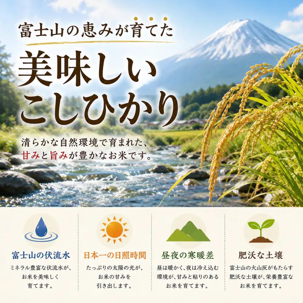 コシヒカリ【玄米】 2キロ 1袋 / 国産 こしひかり  2キロ 令和7年産 米 お米 保存袋 生活必需品 ギフト 贈り物 お歳暮 ふるさと納税 送料無料