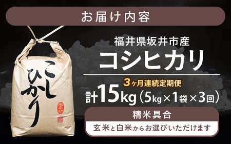 定期便 ≪3ヶ月連続お届け≫ 令和8年産 坂井市産 コシヒカリ 5kg×1袋×3回 (計15kg) 【玄米】米 コメ お米 福井こしひかり [B-10206_02]