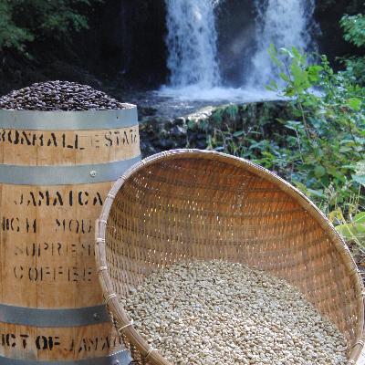 ふるさと納税 富士吉田市 【訳あり】フェアトレード ブレンドコーヒー豆160g×4袋計640g SDGsふるさと納税で国際貢献 |  | 03