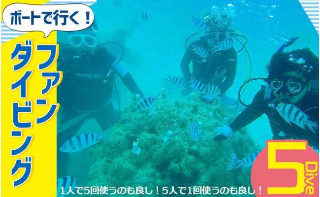 
ボートで行く！ファンダイビング（5Dive）
