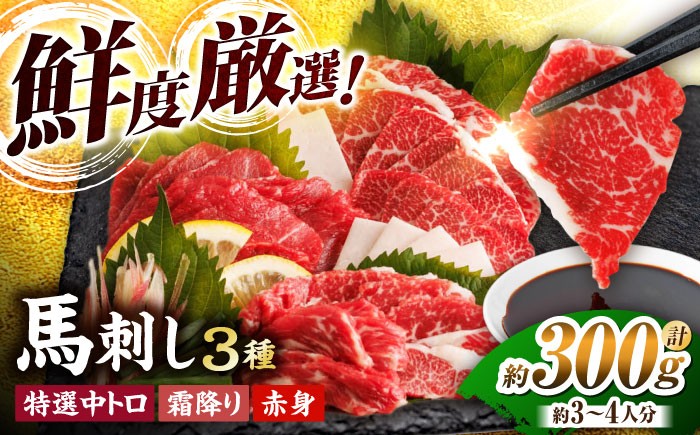 
                  馬刺し バラエティセット 3種類 ～3・4人前～ 計300g（各1pc）＋タレ小 馬刺し 食べ比べ セット 特選霜降り馬刺し 霜降り馬刺し 馬刺し 馬肉 桜肉 馬 肉 霜降り 中トロ 赤身 タレ付き 冷凍 生食 肉食 刺身 九州 熊本県 特産品 山鹿 送料無料【馬刺しの郷 民守】[ZBL014]
                