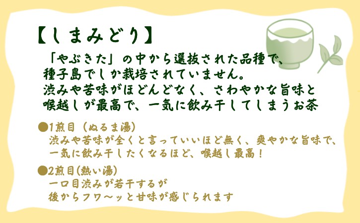 【 R8年産 】種子島 射場貴大 茶園 「松寿」 「くりわたせ」 「しまみどり」 種子島 限定 茶 セット　NFN571 【350pt】 // 日本茶 緑茶 希少品種 お茶 新茶 一番茶 松寿 くりわ