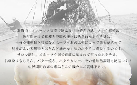 【12月発送限定】オホーツク産 『活』 ほたて 選べる容量3～8kg SRMN022-v