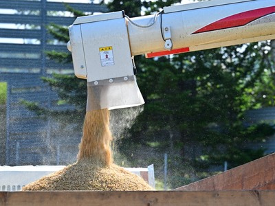 北海道奈井江町　ゆめぴりか　玄米　30kg