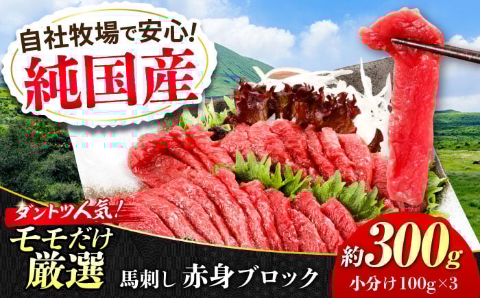 
            『純国産』熊本の味 赤身 馬刺し 約300g ブロック 冷凍 タレ付き【有限会社 九州食肉産業】 [AYCN026]
          