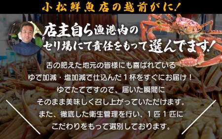 越前がに本場の越前町からお届け！ 越前がに 浜茹で 大サイズ（生で0.9～1kg） × 1杯【12月発送分】【かに カニ 蟹】【福井県 越前町 雄 ズワイガニ ボイル 冷蔵 越前ガニ 越前かに 越前カ