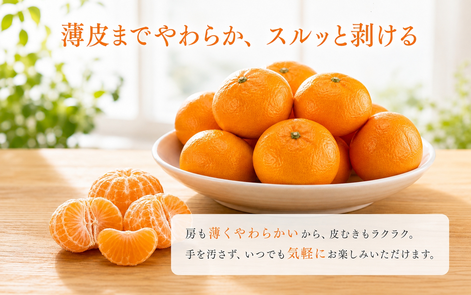 【先行予約】赤秀品 紀州和歌山 ハウスみかん2.5kg【予約】※2027年6月下旬頃〜7月下旬頃に順次発送予定(お届け日指定不可) / みかん 果物 くだもの フルーツ 柑橘 オレンジ 和歌山 有田み