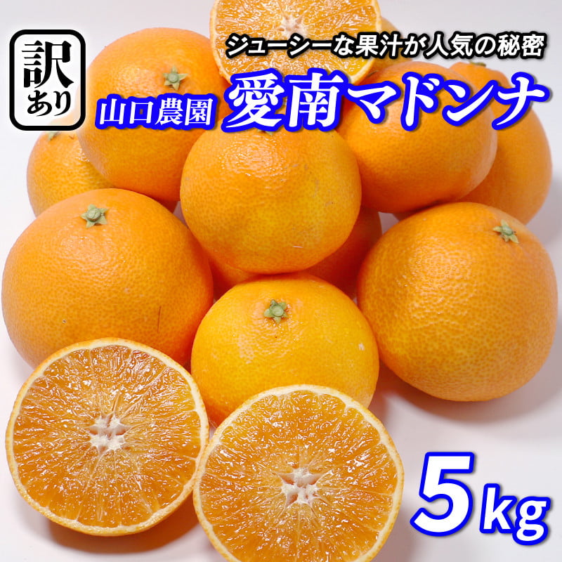 
            先行予約 訳あり 愛南マドンナ 5kg まどんな 紅まどんな 愛果28号 みかん 蜜柑 甘平 せとか 高級 人気 ブランド とろける ゼリー 食感 産地直送 柑橘 果物 フルーツ ビタミン 国産 愛媛 愛南町 山口農園
          