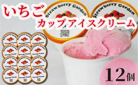 いちご農家のひんやりアイス カップアイス 12カップ いちご 苺 イチゴ いちごアイスクリーム アイス アイスクリーム カップアイス 冷たい ひんやり セット 人気 おすすめ ふるさと納税 京都 八幡 八幡市 上杉農園