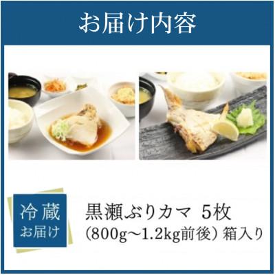 ふるさと納税 串間市 活じめ!黒瀬ぶりカマ(5枚入)(800g〜1.2kg前後) |  | 03