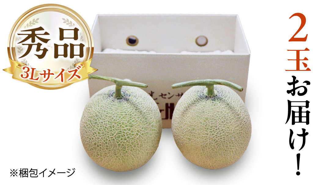 茨城県産 アールスメロン 秀品 3L サイズ × 2玉 入り おすすめ JA全農いばらき JA 【 2024年8月下旬から発送 】 メロン めろん ふるさと納税 フルーツ 予約 マスクメロン くだもの
