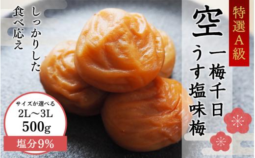 ＜サイズが選べる！＞一梅千日うす塩味梅「空」塩分9%  3Lサイズ　500g  / 和歌山 和歌山県産 紀州南高梅 南高梅 梅干し 梅干 梅 A級品 2Lサイズ 3Lサイズ うす塩 ご飯のお供